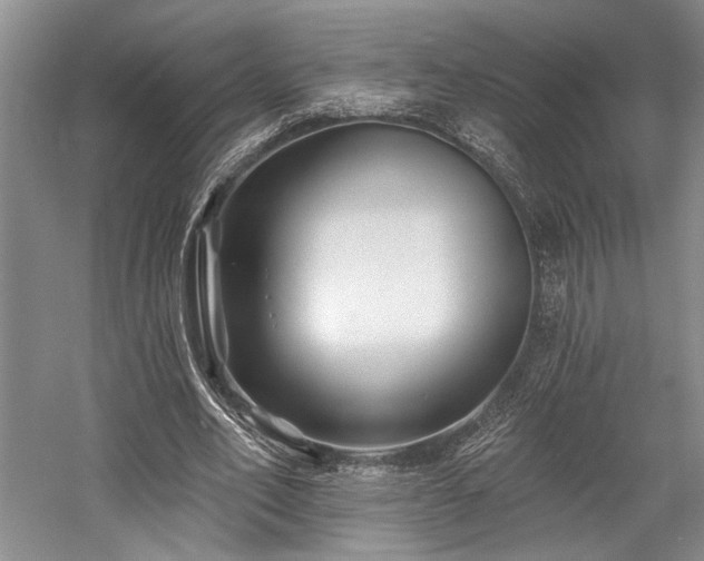 X0000058770582200509301046