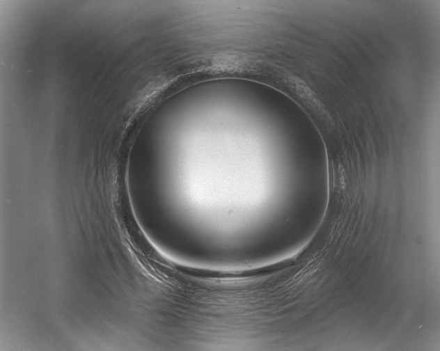X0000058770588200509301046