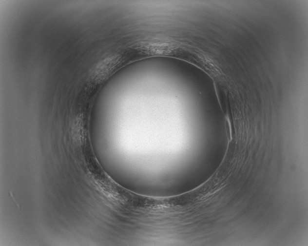 X0000058770594200509301046