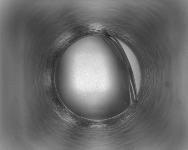 X0000058770595200509301046