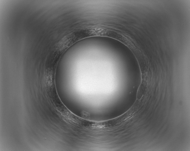 X0000058770602200509301046