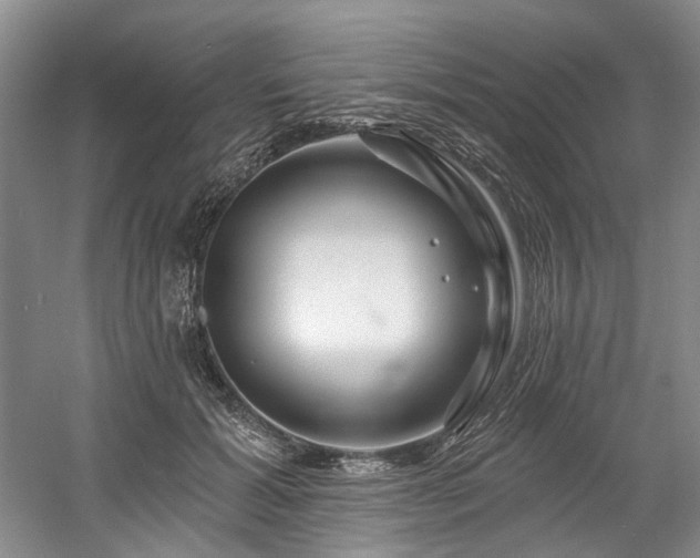 X0000058770605200509301046