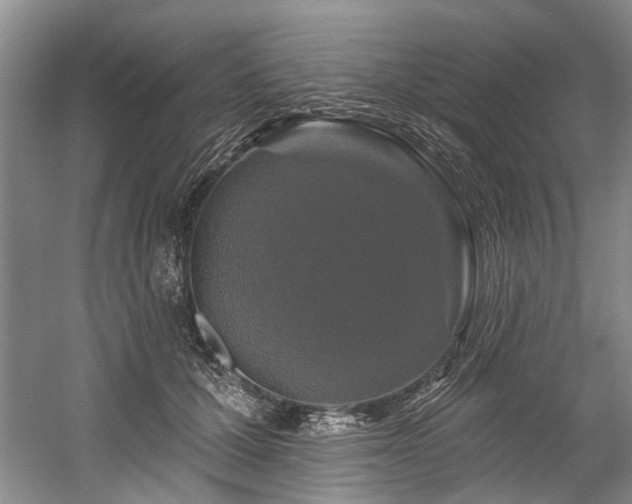 X0000058770607200509301046