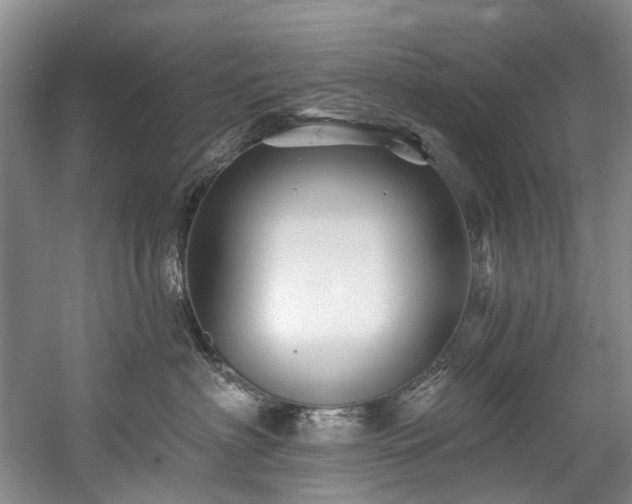 X0000058770622200509301045