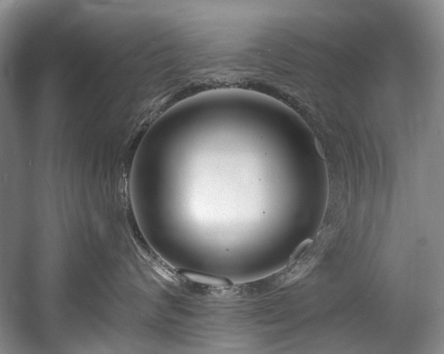 X0000058770624200509301045