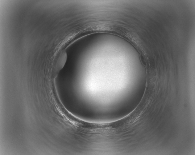 X0000058770625200509301045
