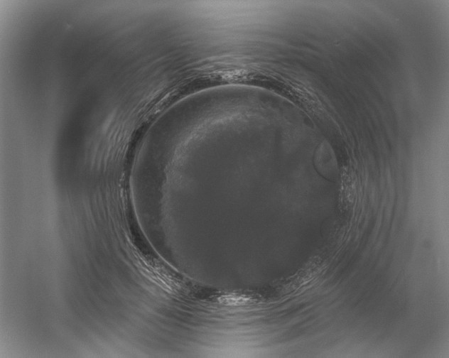 X0000058770650200509301045
