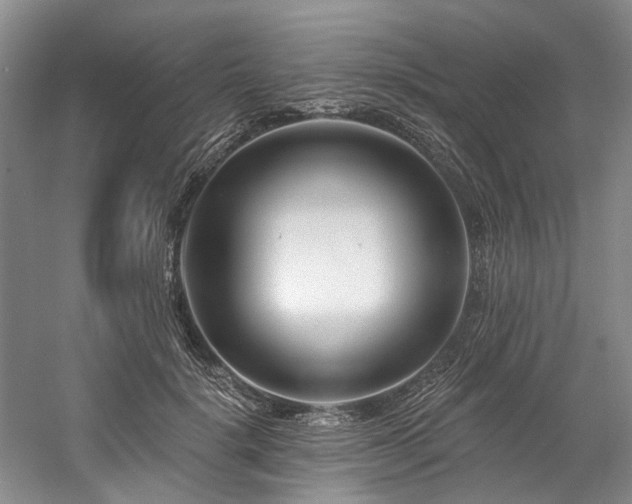 X0000058770652200509301045