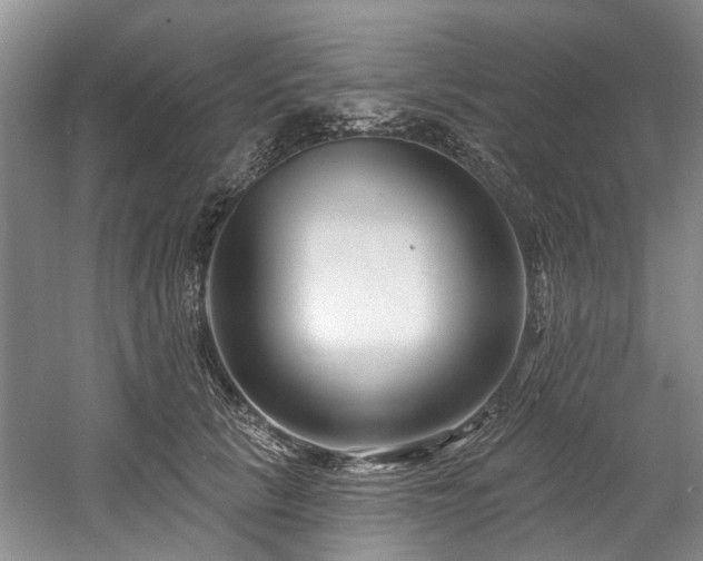 X0000058770657200509301045