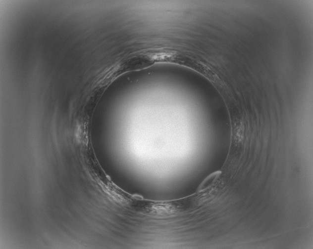 X0000058770666200509301045
