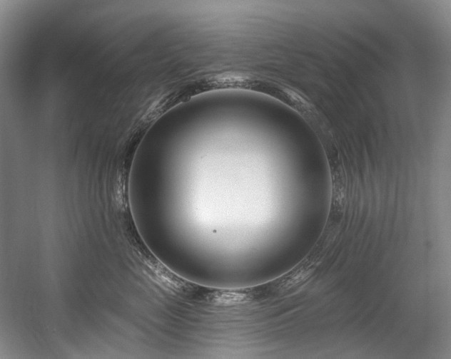 X0000058770669200509301045