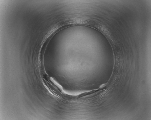 X0000058770674200509301045