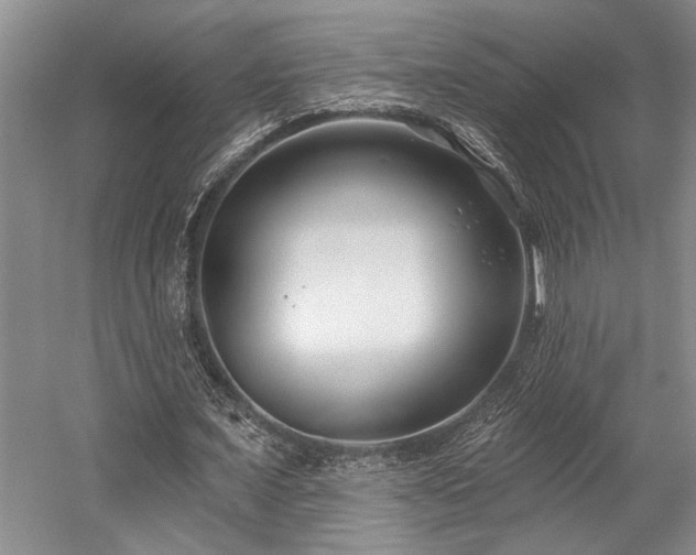 X0000058770675200509301045