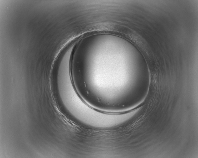 X0000058770676200509301045