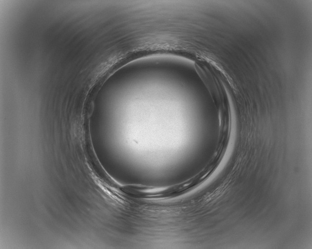 X0000058770677200509301045