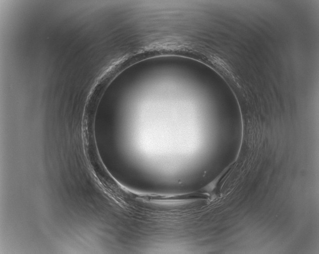 X0000058770680200509301044