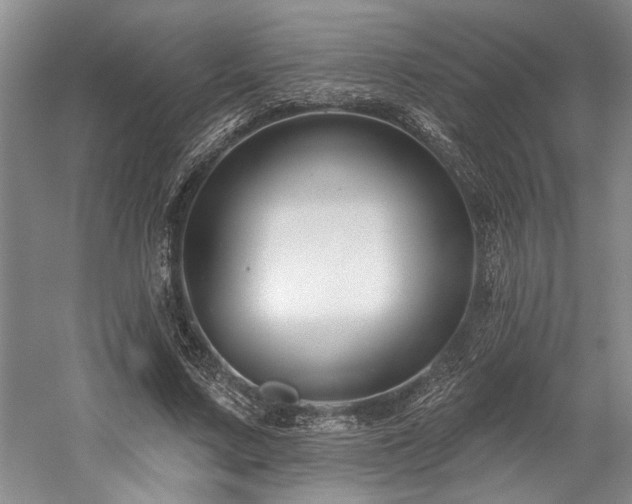 X0000058770683200509301044