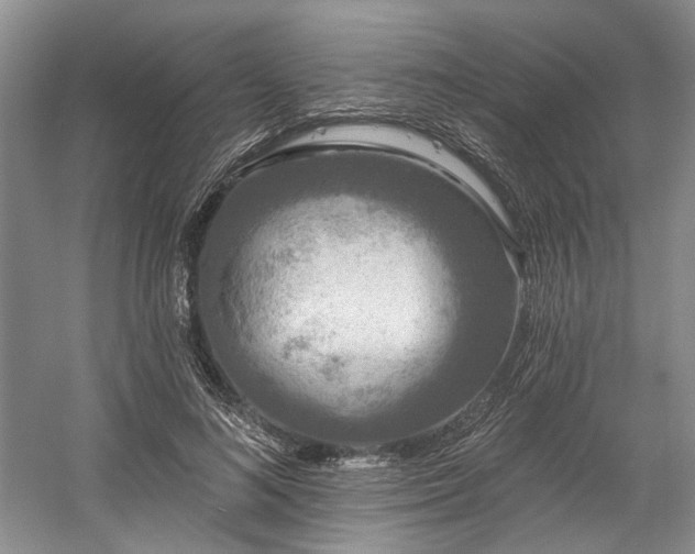 X0000058770692200509301044