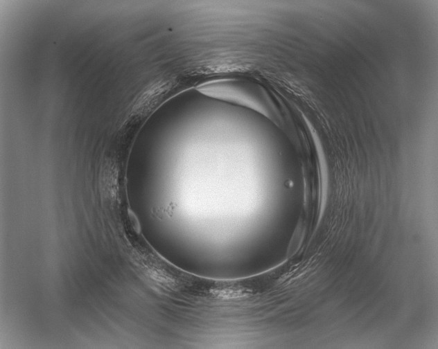 X0000058770693200509301044