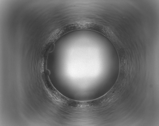 X0000058770694200509301044