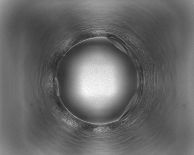 X0000058770700200509301044