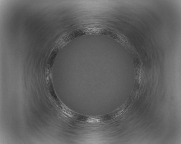X0000058770701200509301044