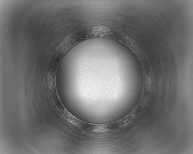 X0000058770705200509301044