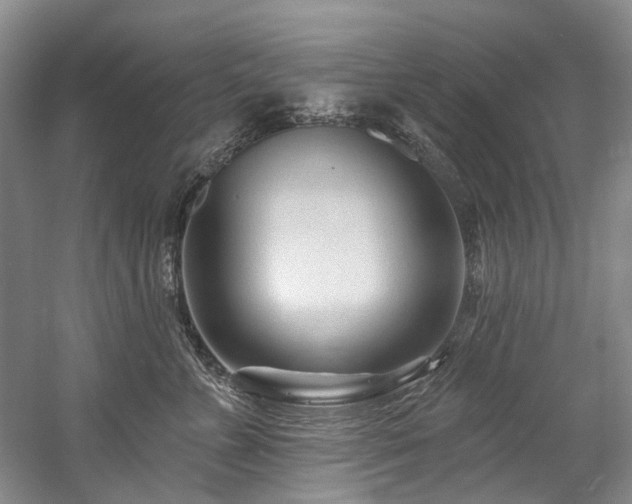X0000058770715200509301044