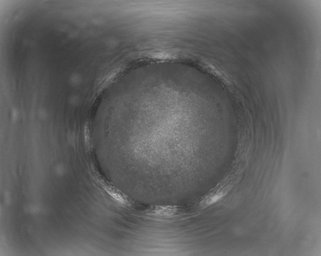 X0000058770720200509301044