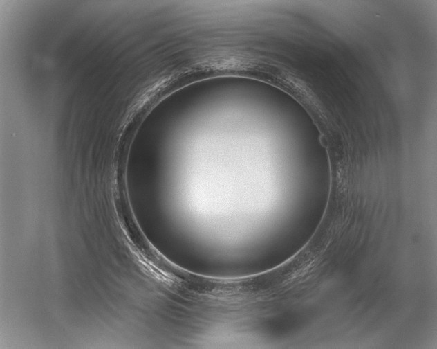X0000058770725200509301043