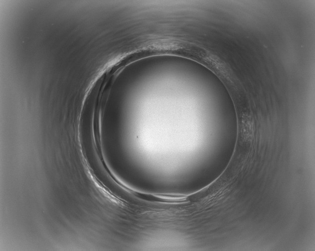 X0000058770726200509301043