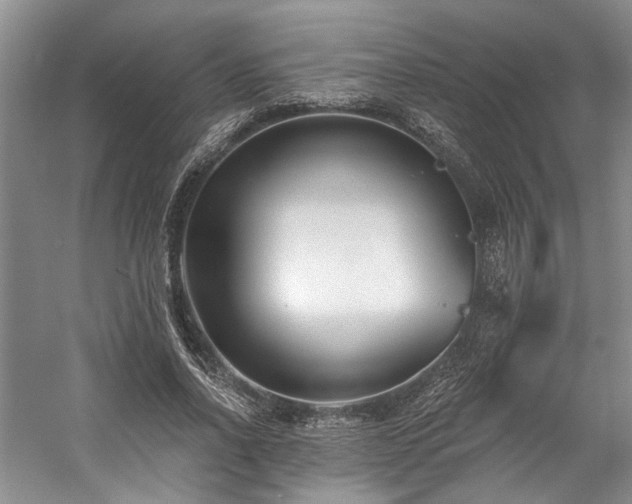 X0000058770734200509301043