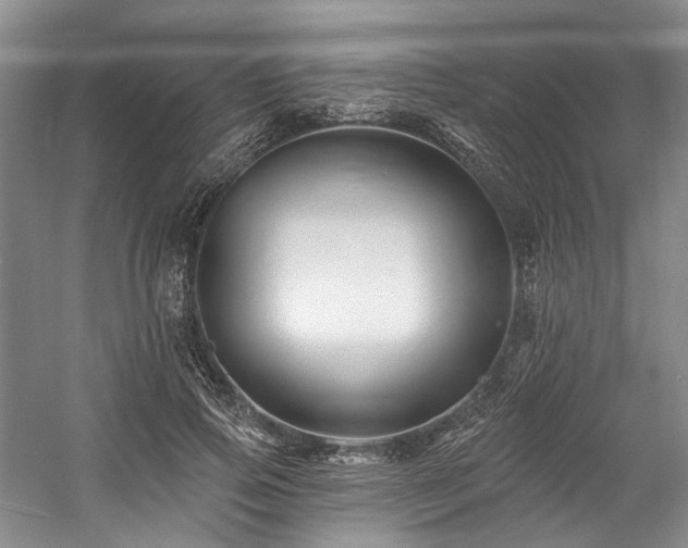 X0000058770741200509301043