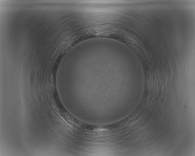 X0000058770748200509301043