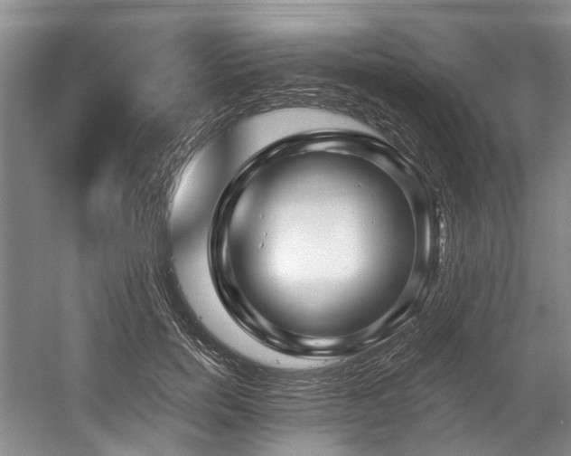 X0000058770750200509301043