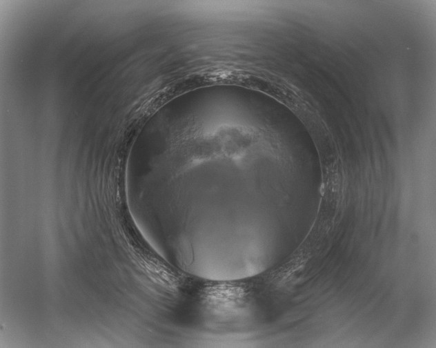 X0000058770754200509301044
