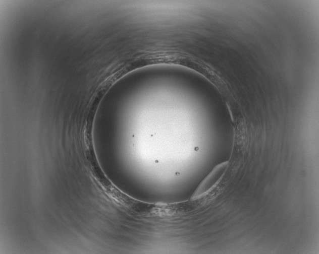 X0000058770764200509301044
