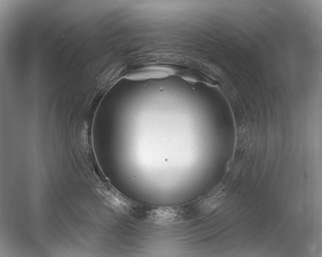 X0000058770765200509301044