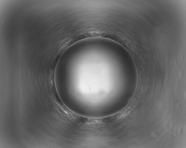 X0000058770768200509301044