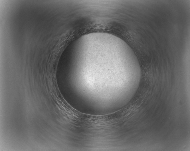 X0000058770769200509301043