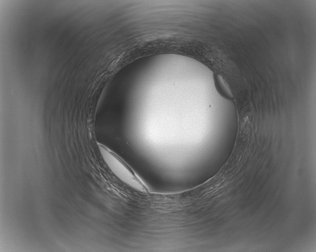 X0000058770772200509301043