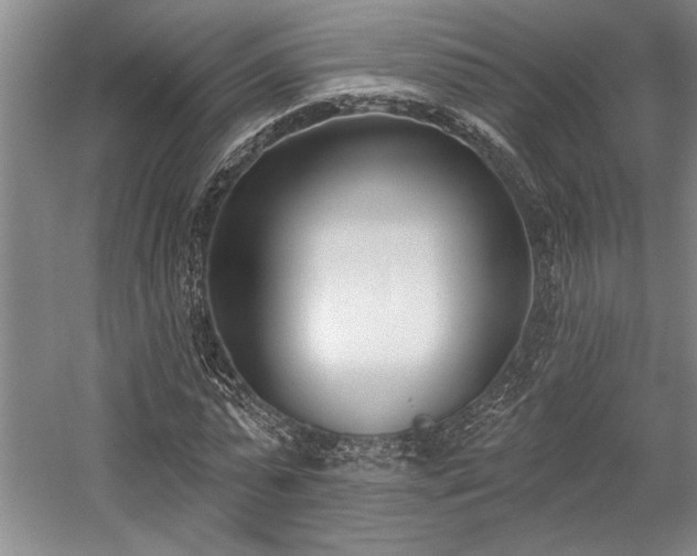 X0000058770775200509301043