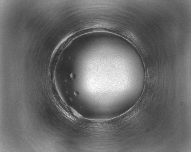 X0000058770780200509301043