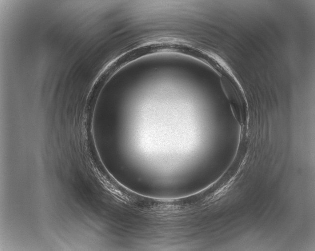 X0000058770783200509301043