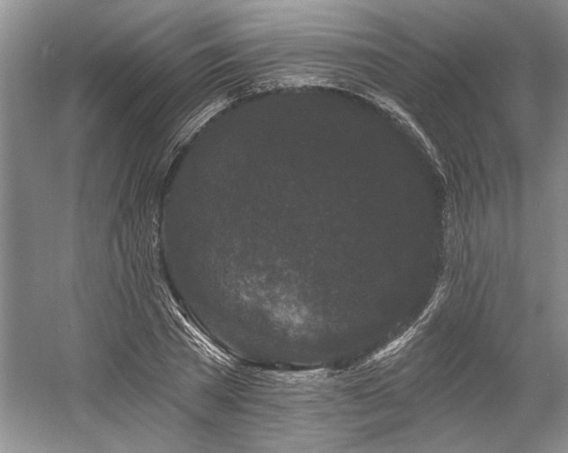 X0000058770785200509301043