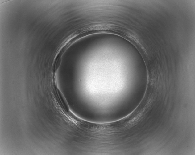 X0000058770786200509301043