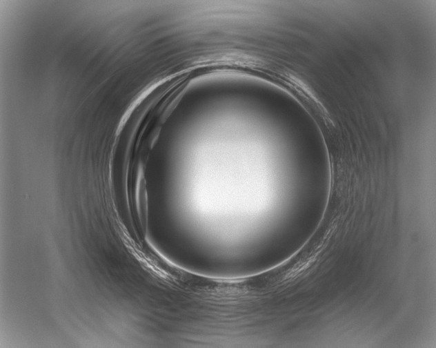 X0000058770788200509301043