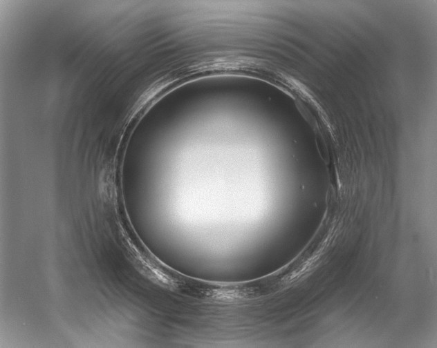 X0000058770794200509301043