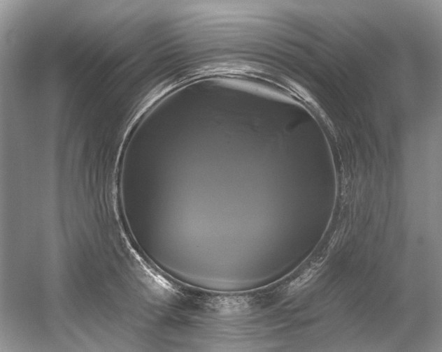 X0000058770802200509301042