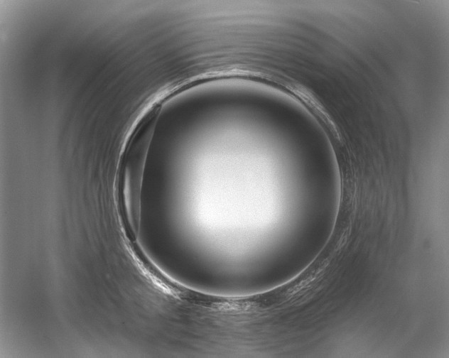 X0000058770805200509301042